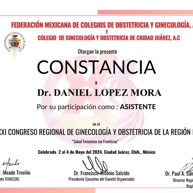 Ampliar imagen: certificate 4