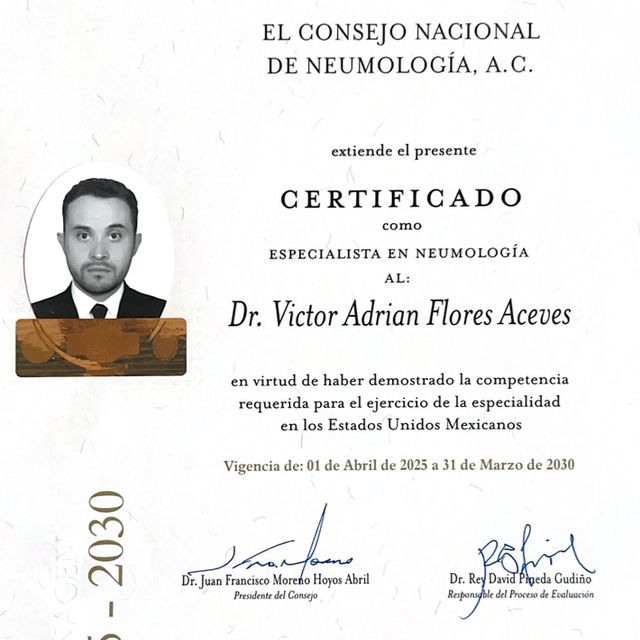 Ampliar imagen: certificate 1