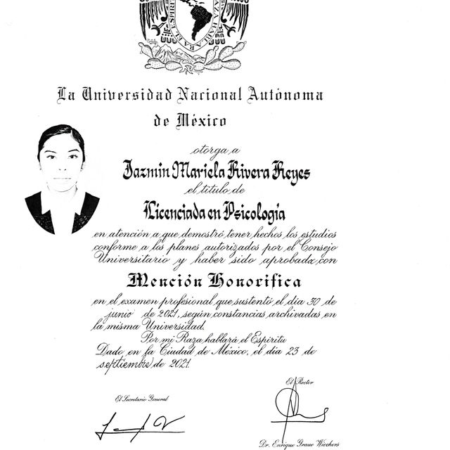 Ampliar imagen: certificate 9
