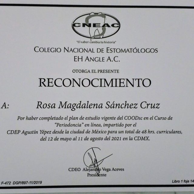 Ampliar imagen: certificate 1