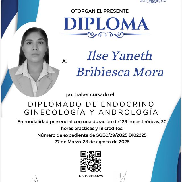 Ampliar imagen: certificate 7
