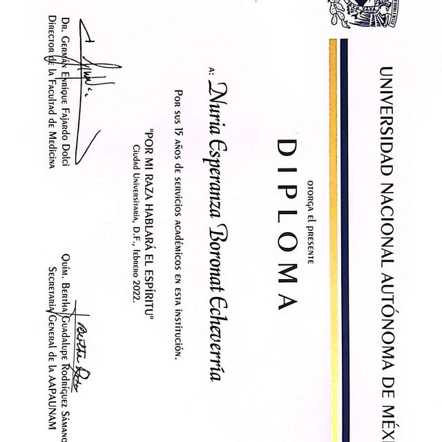 Ampliar imagen: certificate 17