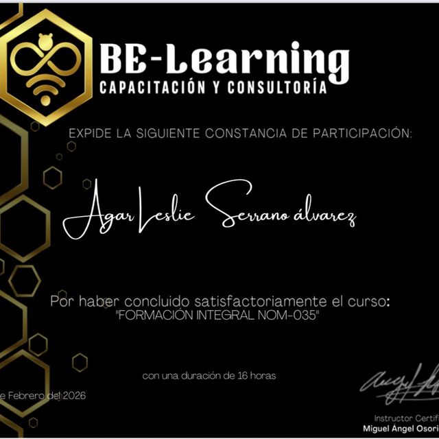 Ampliar imagen: certificate 2