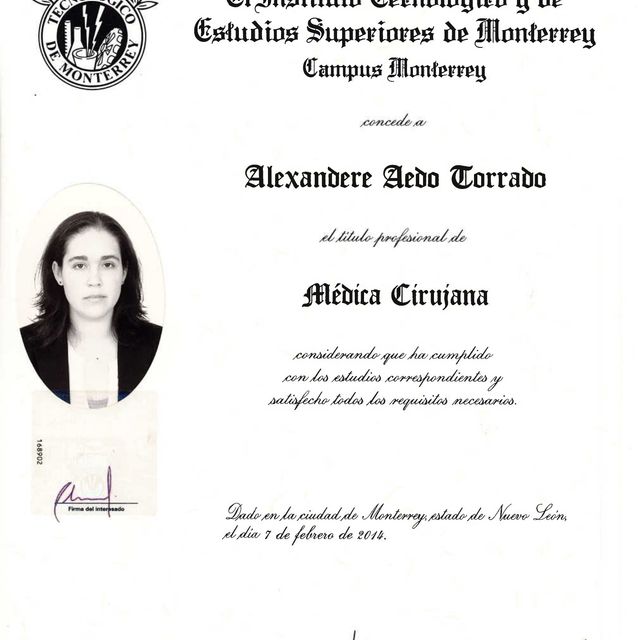 Ampliar imagen: certificate 5
