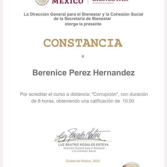 Ampliar imagen: certificate 8