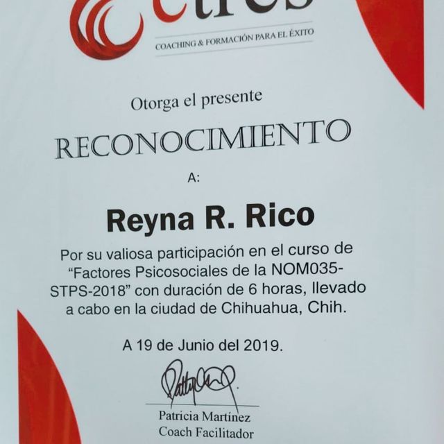 Ampliar imagen: certificate 9