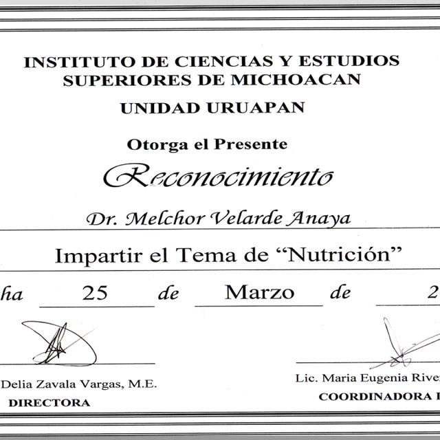 Ampliar imagen: certificate 15