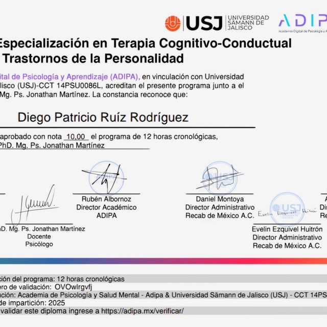Ampliar imagen: certificate 2