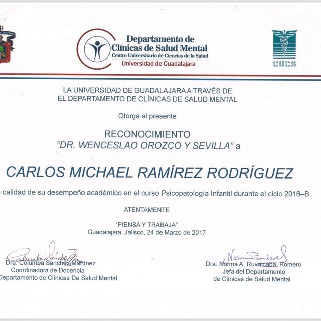 Ampliar imagen: certificate 14