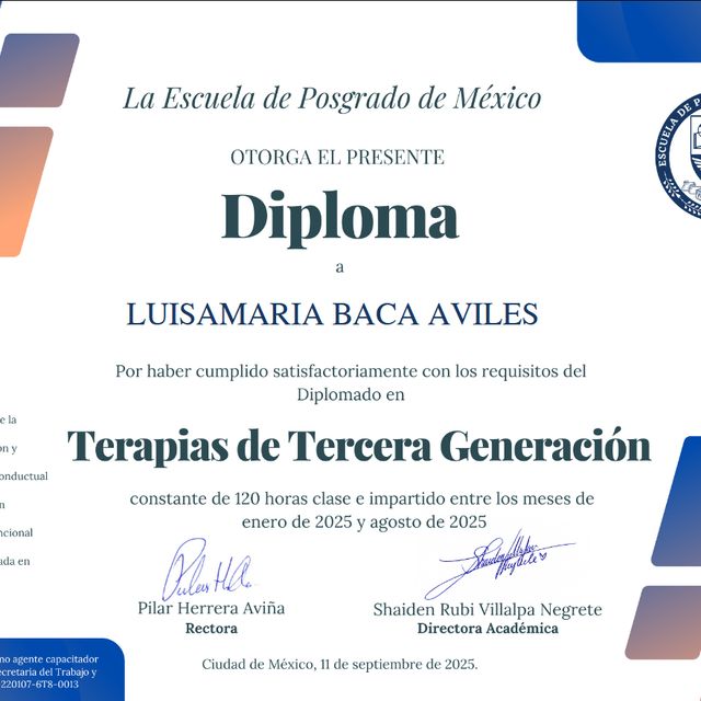 Ampliar imagen: certificate 3