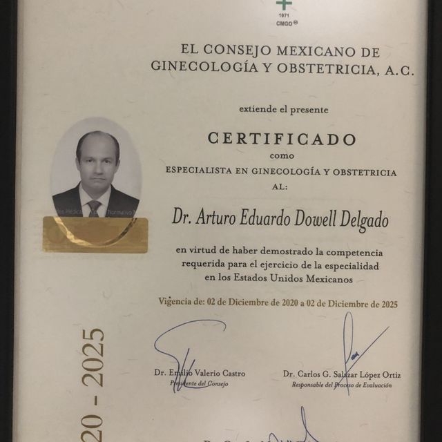 Ampliar imagen: certificate 1