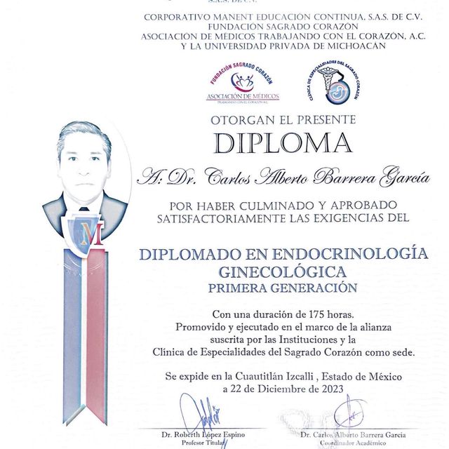 Ampliar imagen: certificate 12