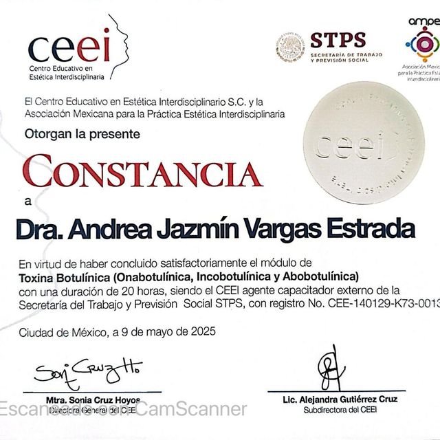 Ampliar imagen: certificate 4
