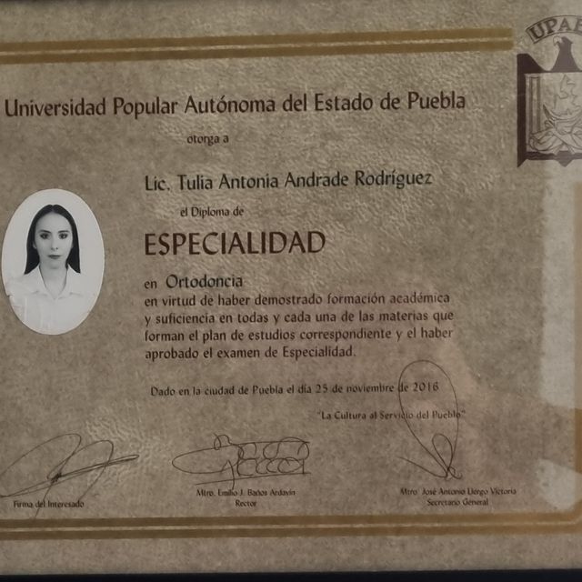Ampliar imagen: certificate 2