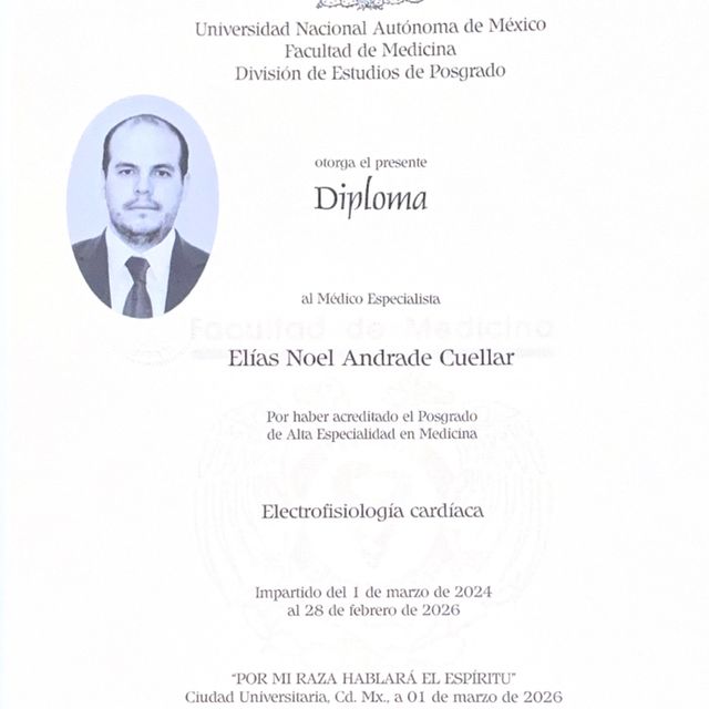 Ampliar imagen: certificate 4