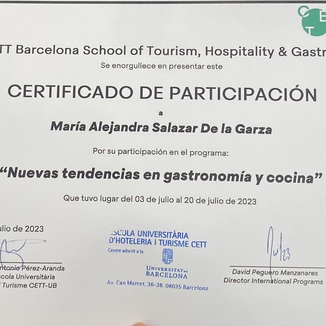 Ampliar imagen: certificate 2