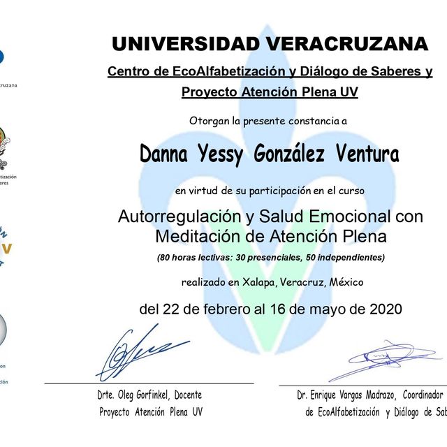 Ampliar imagen: certificate 5