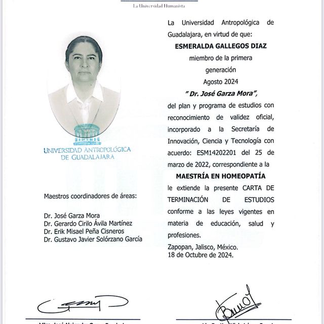 Ampliar imagen: certificate 5