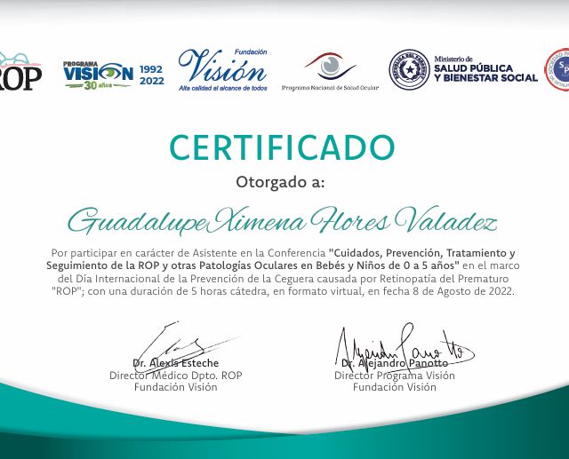 Ampliar imagen: certificate 4