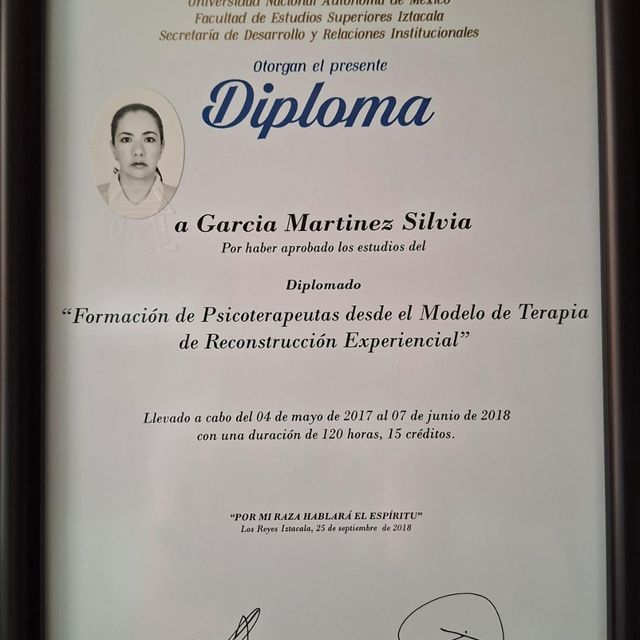 Ampliar imagen: certificate 5