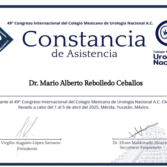 Ampliar imagen: certificate 6