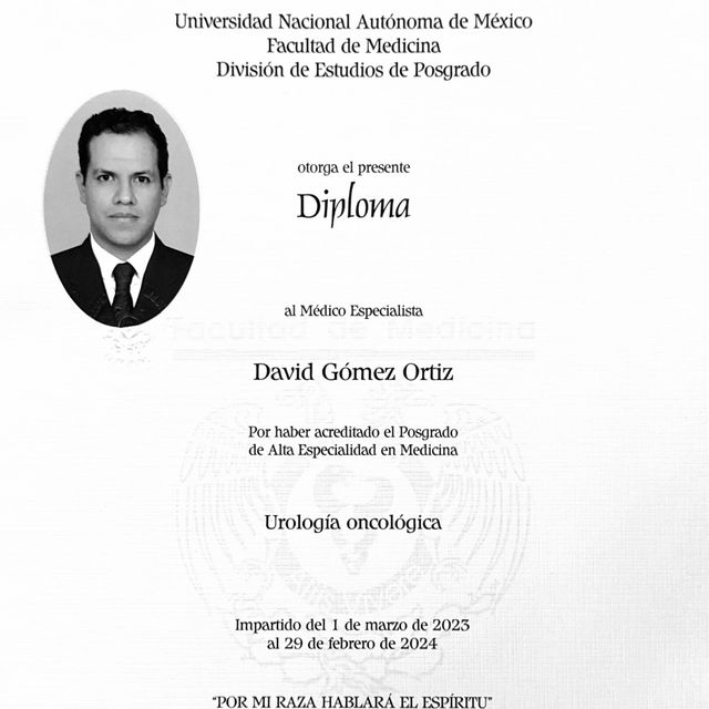 Ampliar imagen: certificate 3