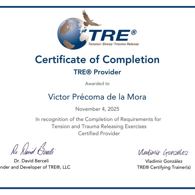 Ampliar imagen: certificate 7