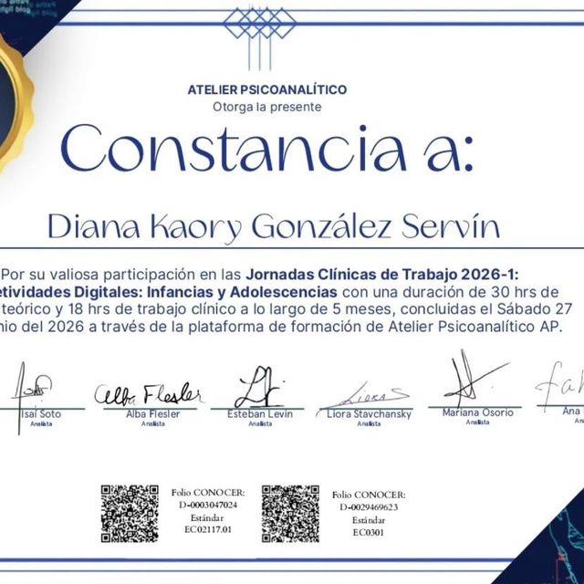Ampliar imagen: certificate 8