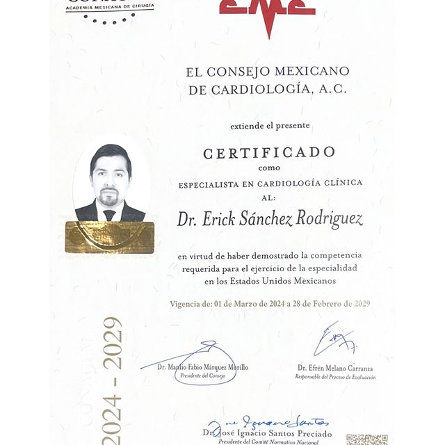 Ampliar imagen: certificate 2
