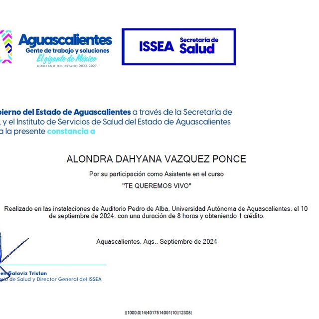 Ampliar imagen: certificate 4