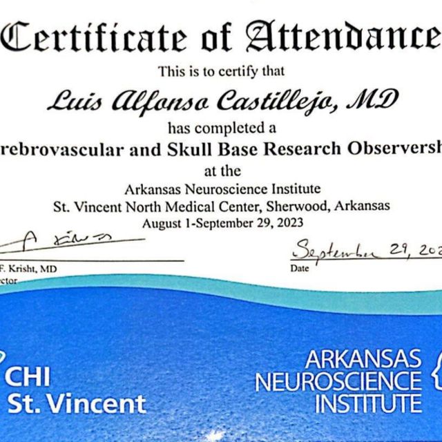 Ampliar imagen: certificate 3