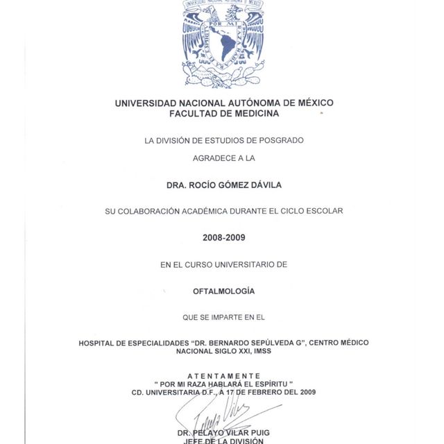 Ampliar imagen: certificate 7