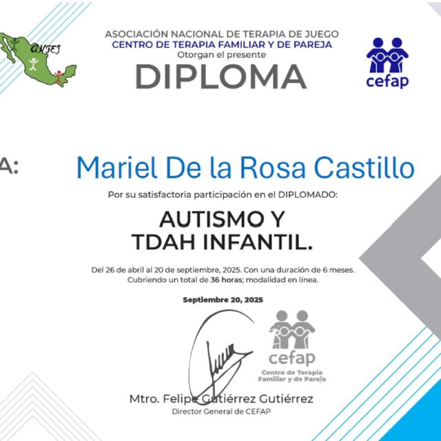 Ampliar imagen: certificate 7