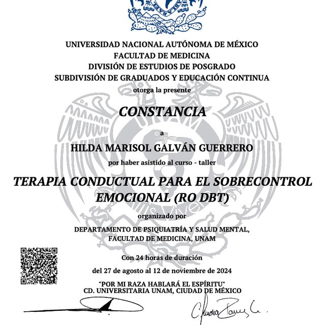 Ampliar imagen: certificate 2
