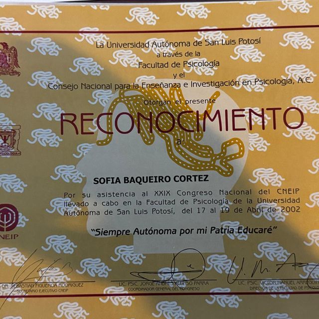 Ampliar imagen: certificate 11