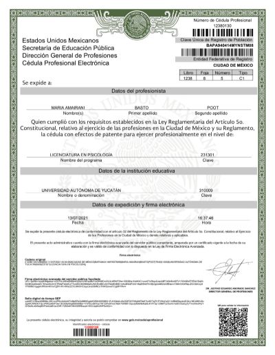 Ampliar imagen: certificate 3