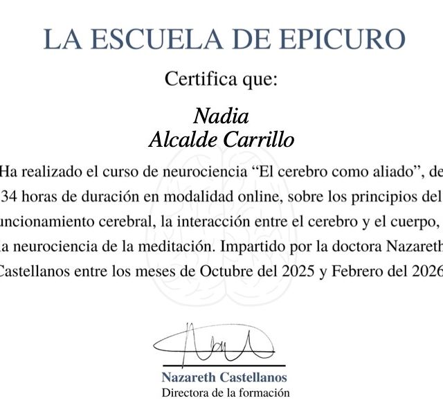 Ampliar imagen: certificate 15