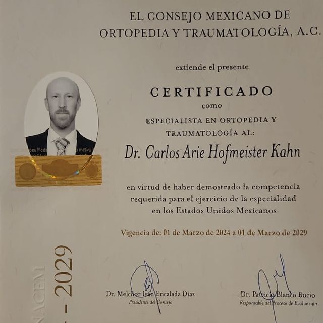 Ampliar imagen: certificate 2
