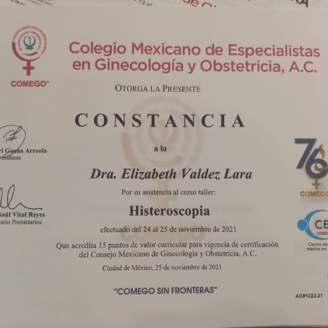 Ampliar imagen: certificate 13