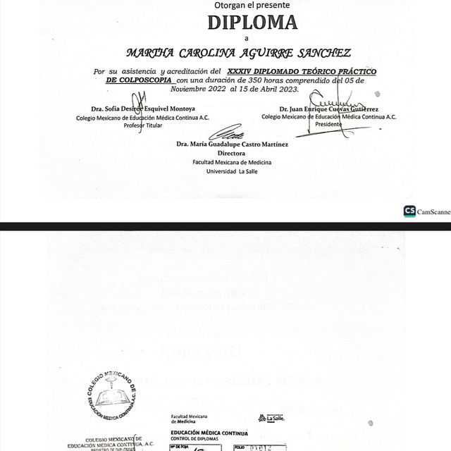 Ampliar imagen: certificate 4