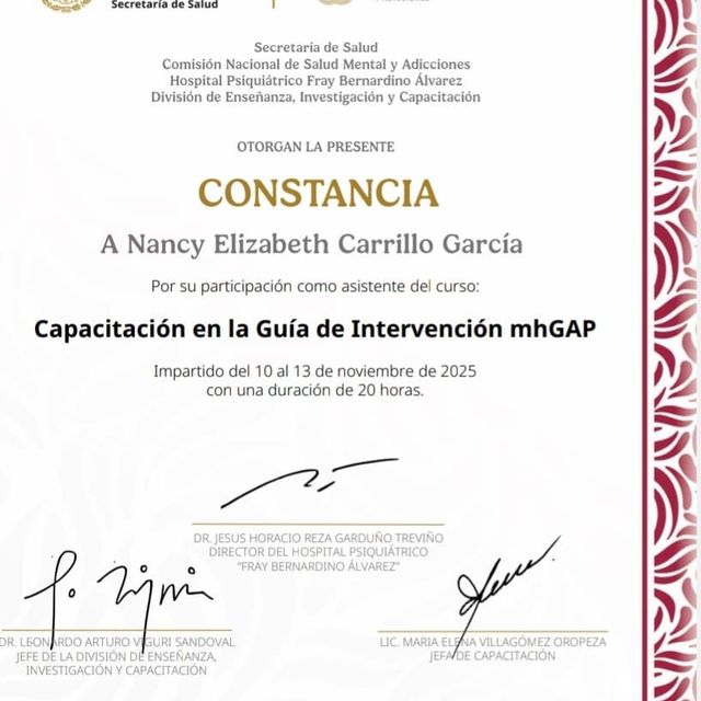 Ampliar imagen: certificate 11