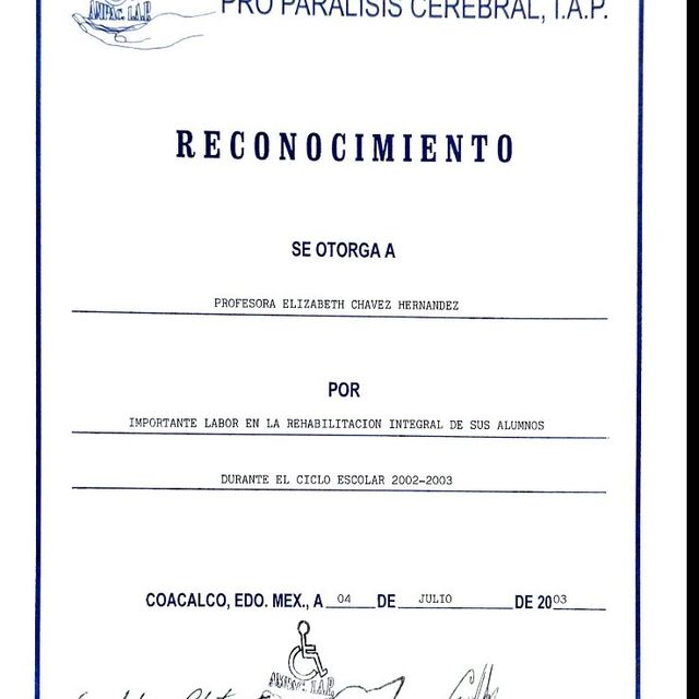 Ampliar imagen: certificate 13