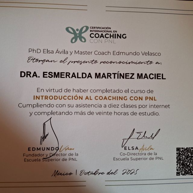 Ampliar imagen: certificate 12
