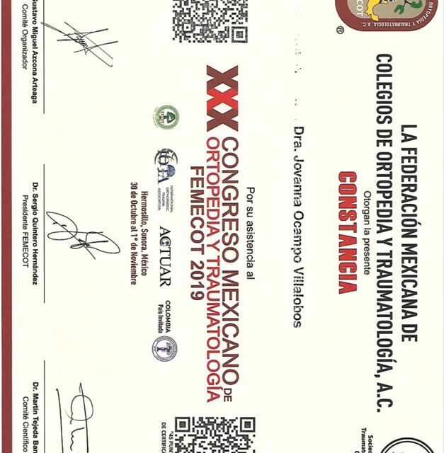 Ampliar imagen: certificate 5