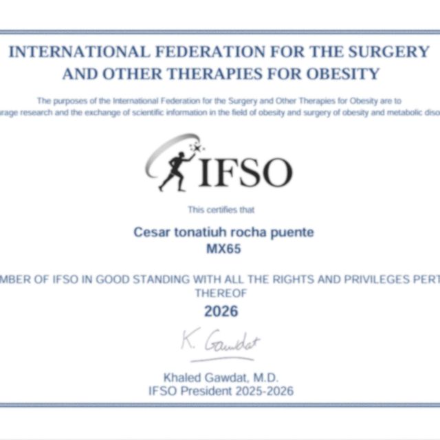 Ampliar imagen: certificate 13