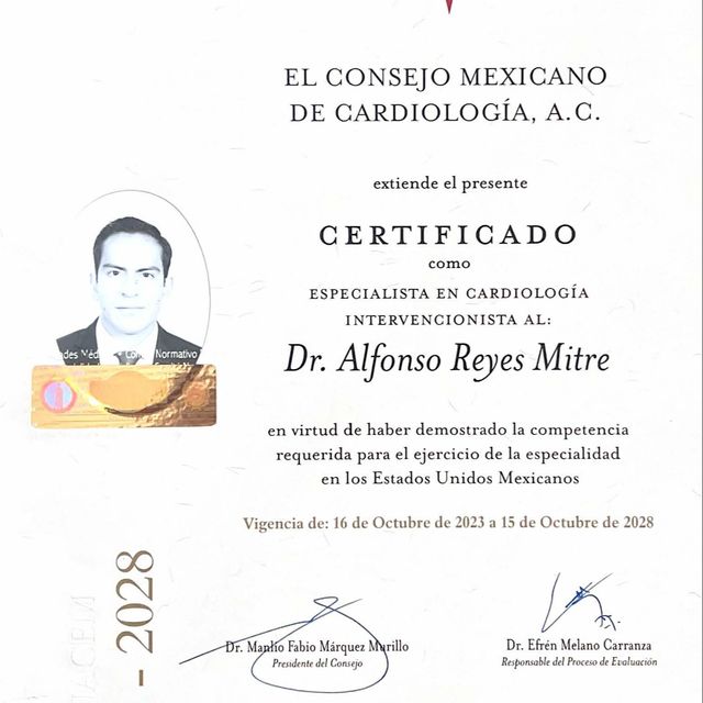 Ampliar imagen: certificate 2