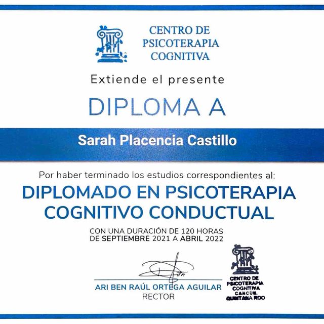 Ampliar imagen: certificate 1