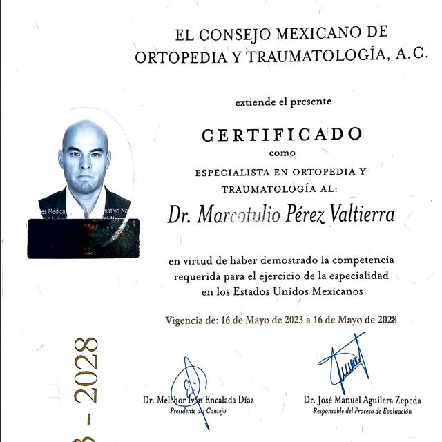 Ampliar imagen: certificate 1