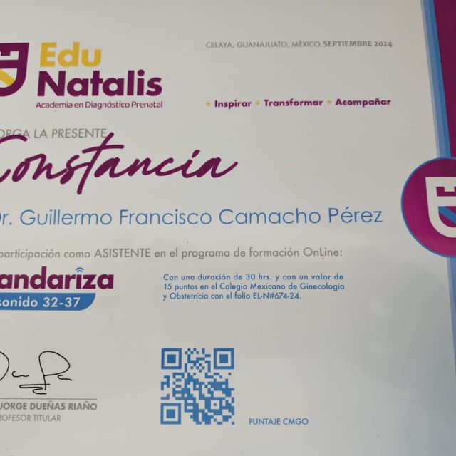Ampliar imagen: certificate 5