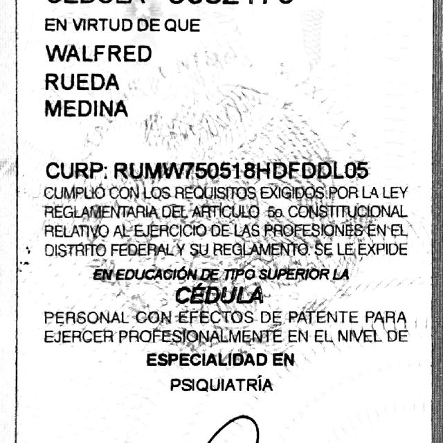 Ampliar imagen: certificate 2